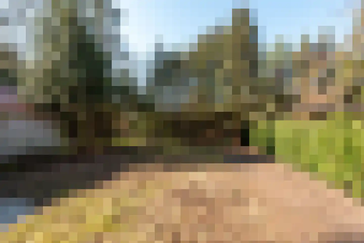 Dolderseweg 35 Huis ter Heide thumbnail 24