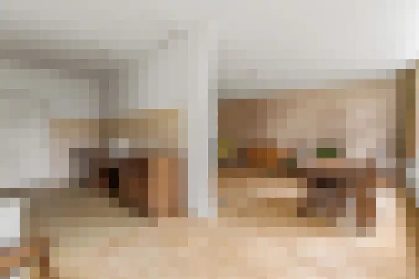 Dolderseweg 39 C Huis ter Heide thumbnail 12
