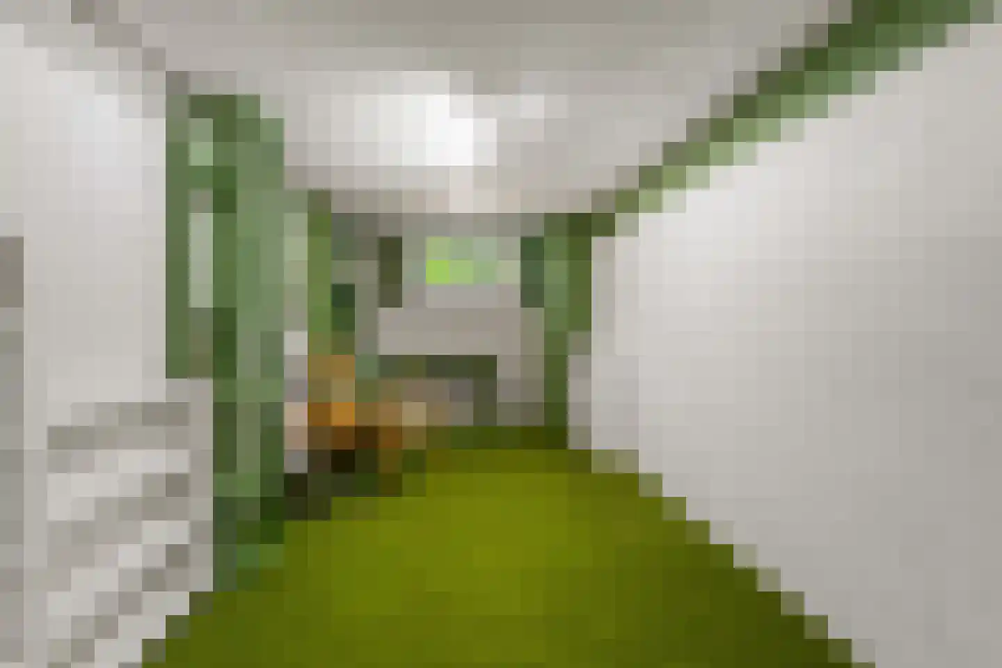 Dolderseweg 39 C Huis ter Heide thumbnail 34