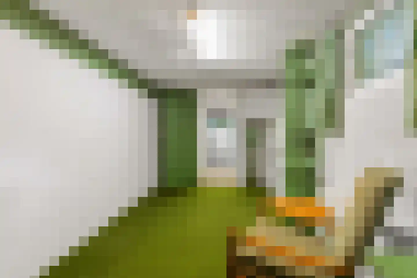 Dolderseweg 39 C Huis ter Heide thumbnail 35