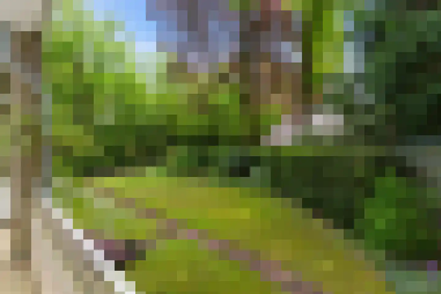 Dolderseweg 39 C Huis ter Heide thumbnail 39