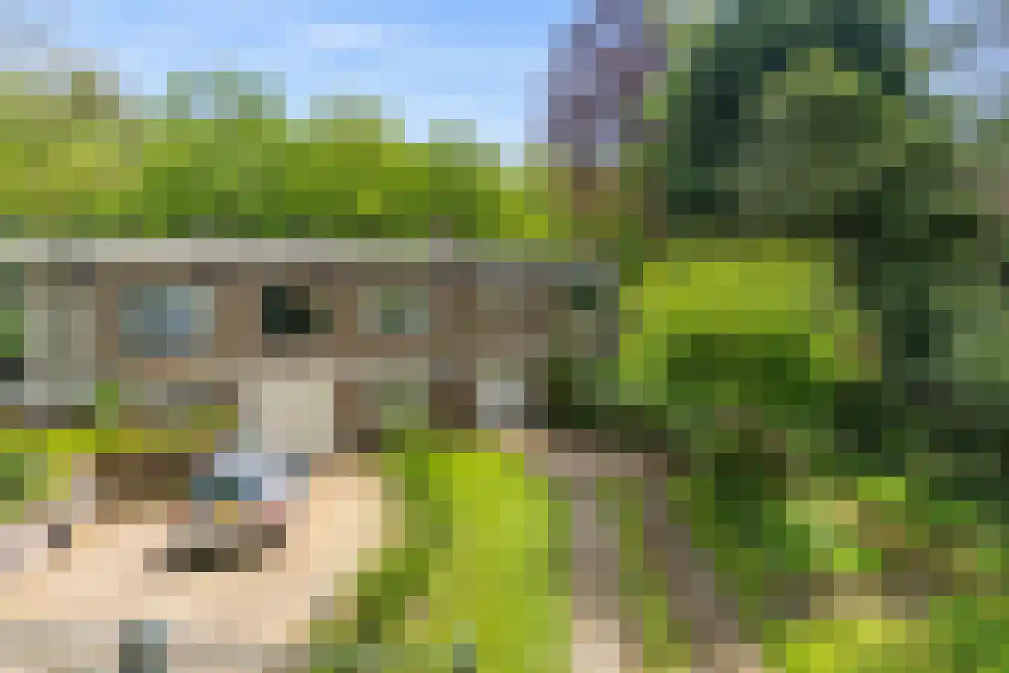 Dolderseweg 39 C Huis ter Heide thumbnail 4