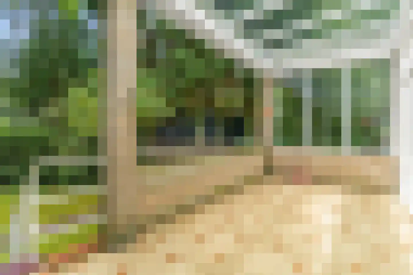 Dolderseweg 39 C Huis ter Heide thumbnail 40