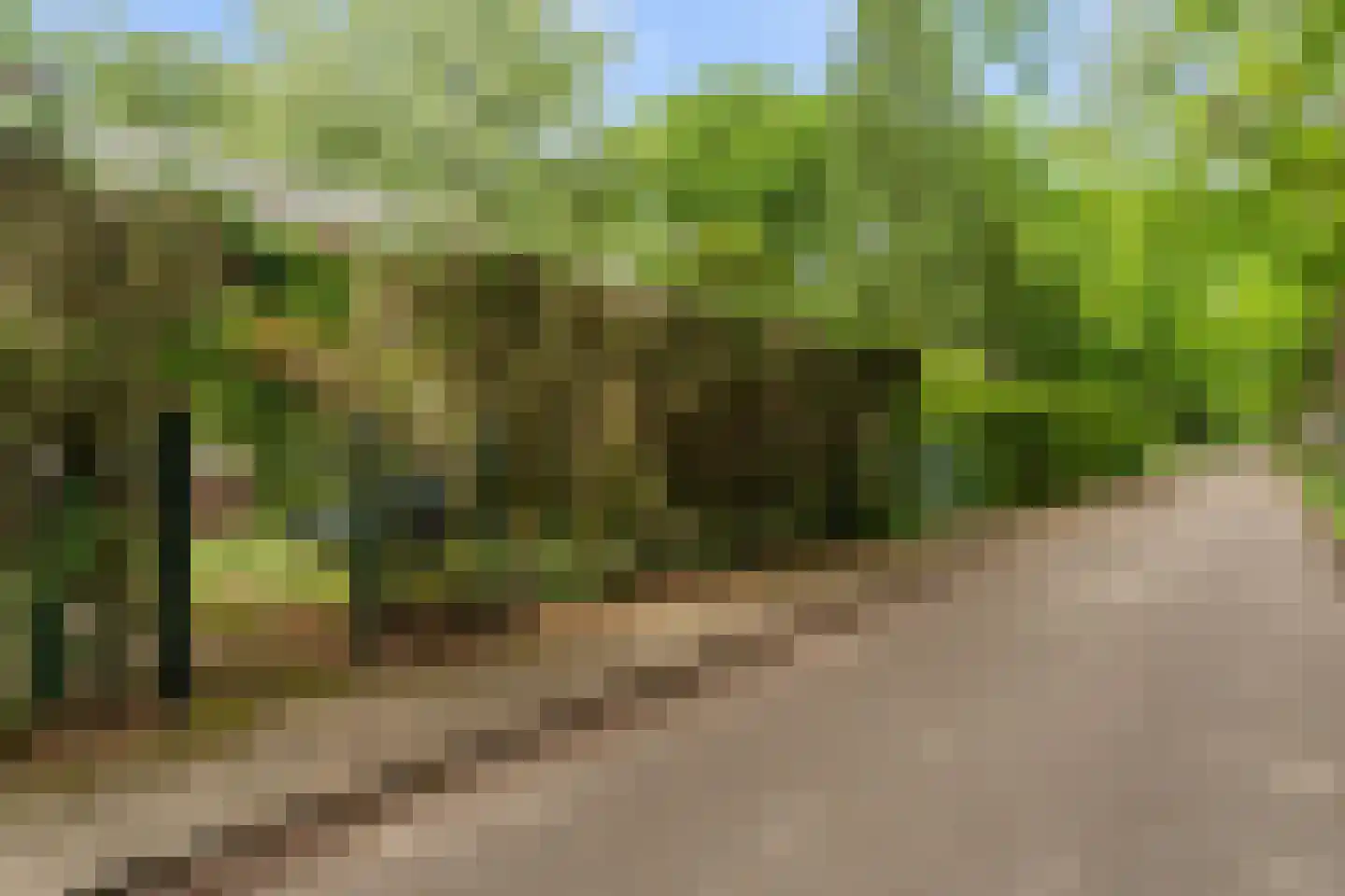 Dolderseweg 39 C Huis ter Heide thumbnail 48
