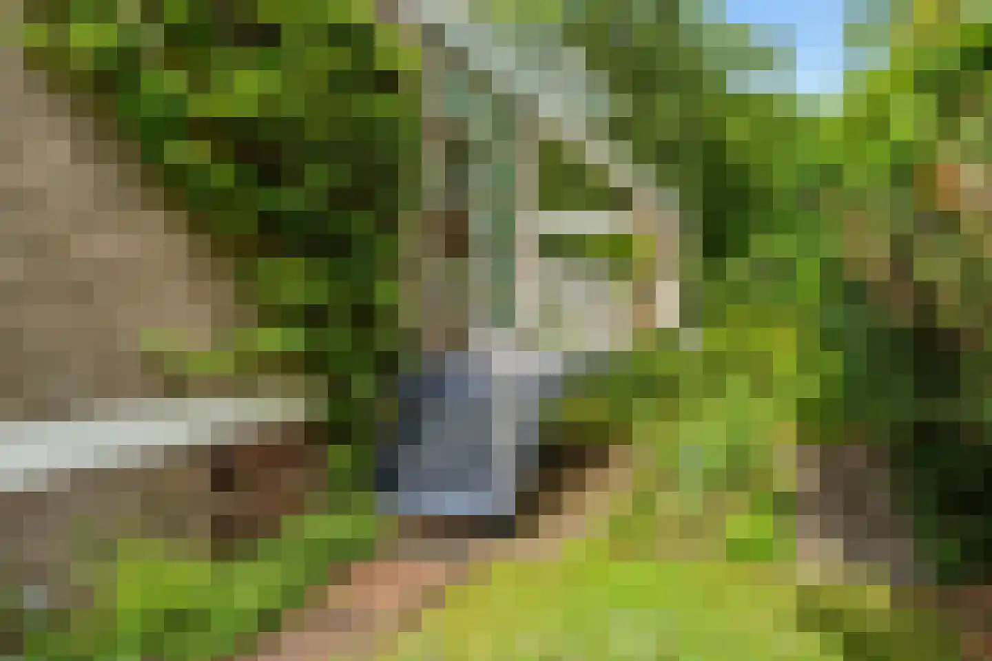 Dolderseweg 39 C Huis ter Heide thumbnail 5
