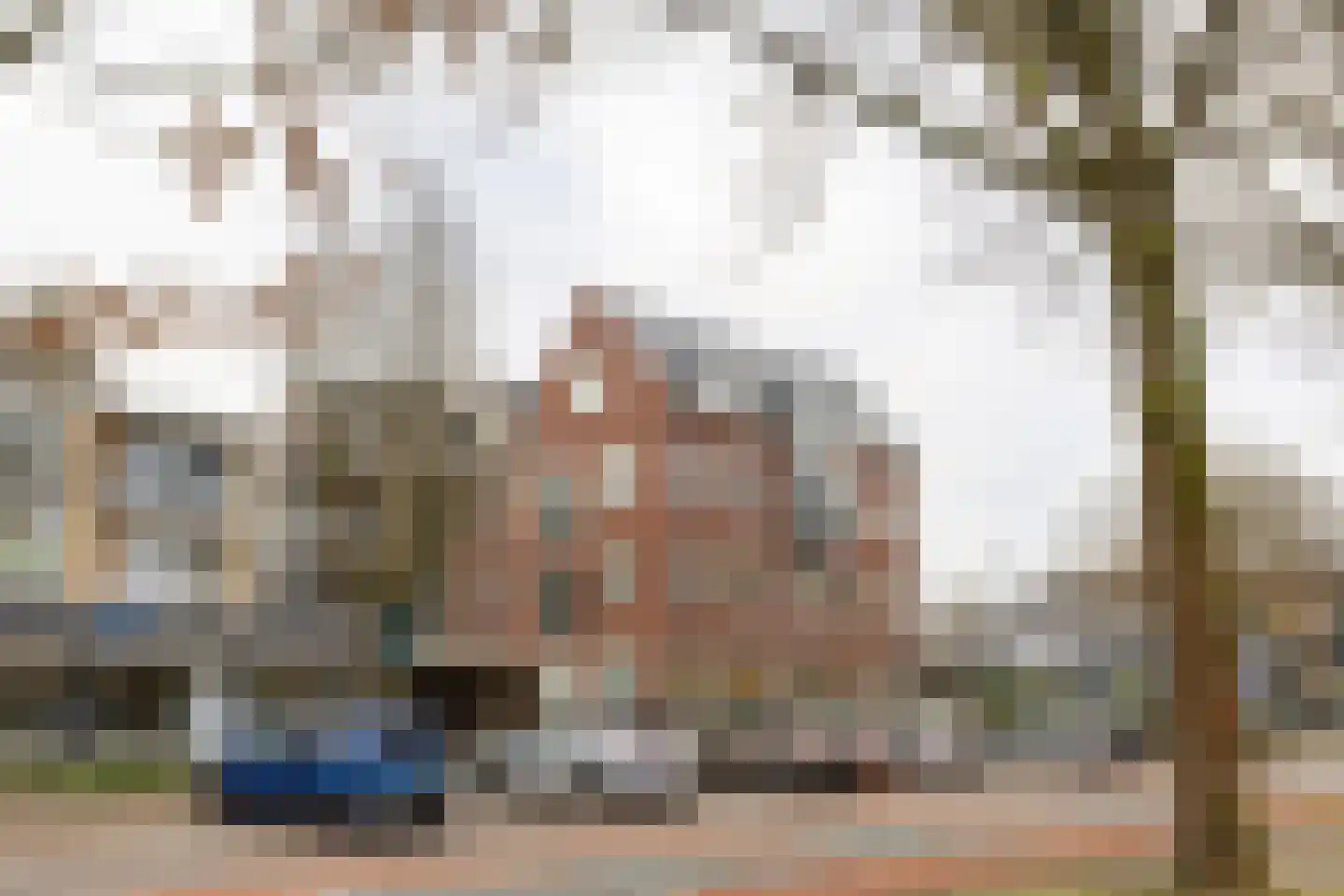 Dolderseweg 81 Den Dolder thumbnail 42