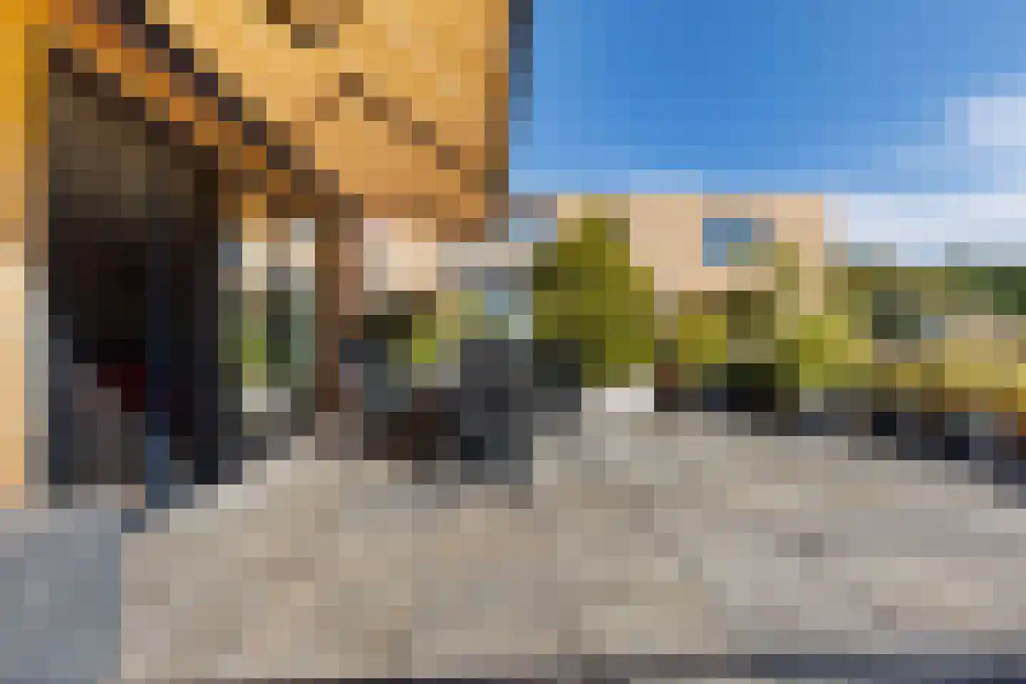 Dolderseweg 91 J Den Dolder thumbnail 17