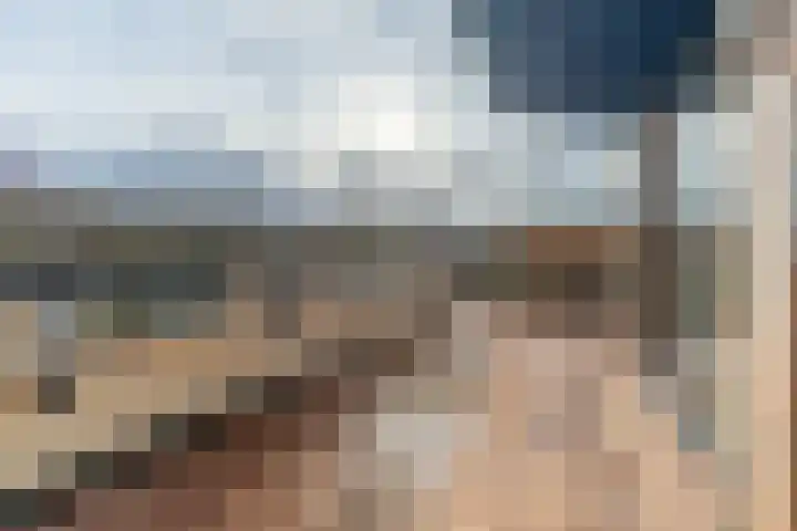 Dolderseweg 93 C Den Dolder thumbnail 10