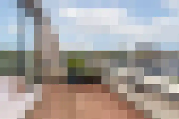 Dolderseweg 93 C Den Dolder thumbnail 23