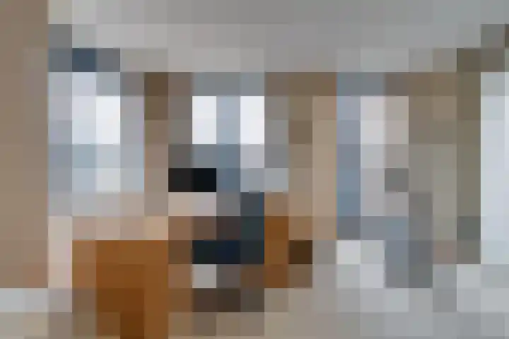 Dolderseweg 93 C Den Dolder thumbnail 33