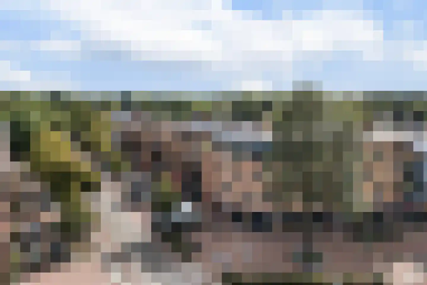 Dolderseweg 95 F Den Dolder thumbnail 31