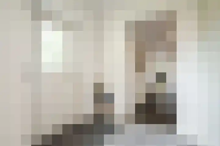Dolderstraat 10 Wageningen thumbnail 17