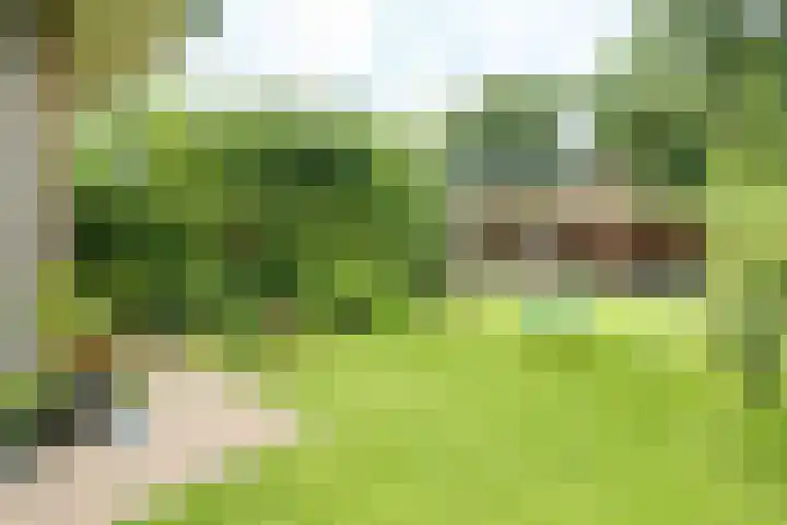 Dolderstraat 10 Wageningen thumbnail 30