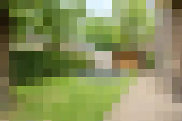 Dolderstraat 10 Wageningen thumbnail 37