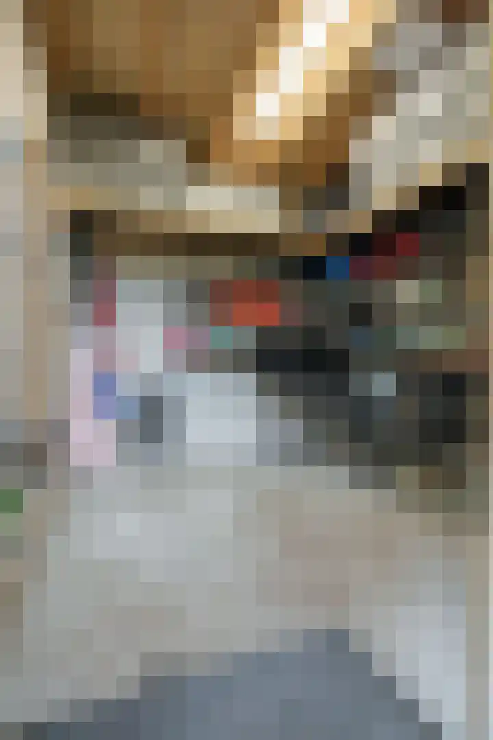 Dolderstraat 10 Wageningen thumbnail 38