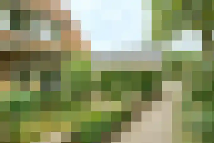 Dolderstraat 10 Wageningen thumbnail 4