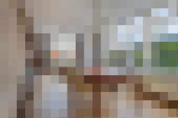 Dolderstraat 19 Heino thumbnail 11