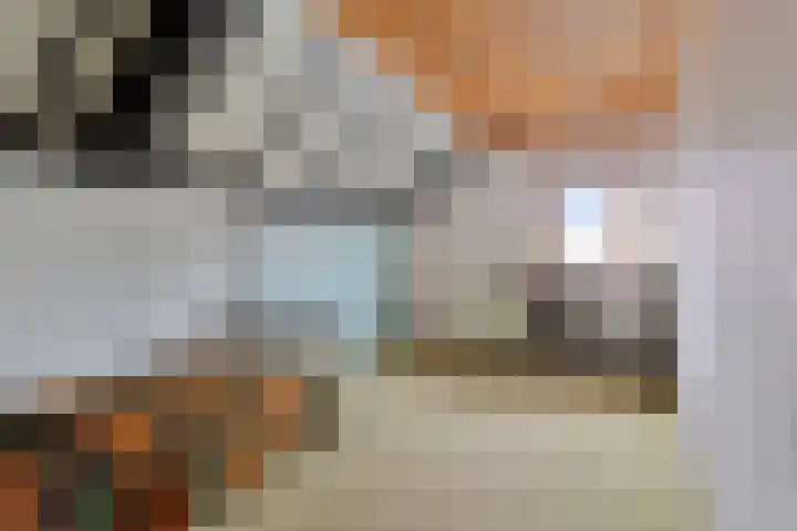 Dolderstraat 19 Heino thumbnail 27