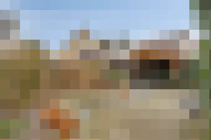 Dolderstraat 19 Heino thumbnail 31