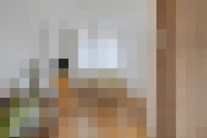 Dolderstraat 19 Heino thumbnail 5