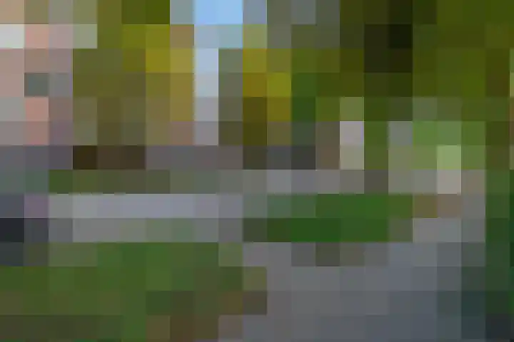 Dolderstraat 42 A Wageningen thumbnail 32