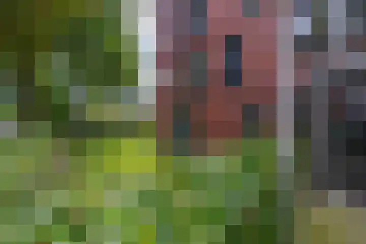 Dolderstraat 42 A Wageningen thumbnail 7