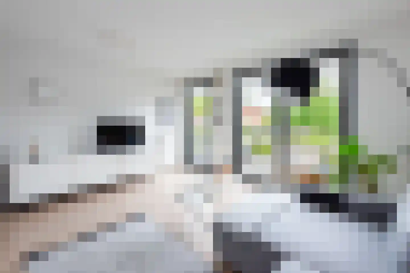 Dolderstraat 44 D Wageningen thumbnail 9