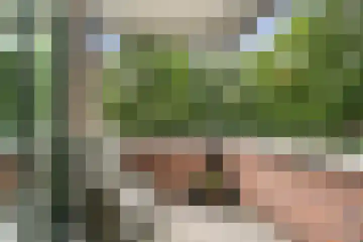 Dolderstraat 5 Wageningen thumbnail 21