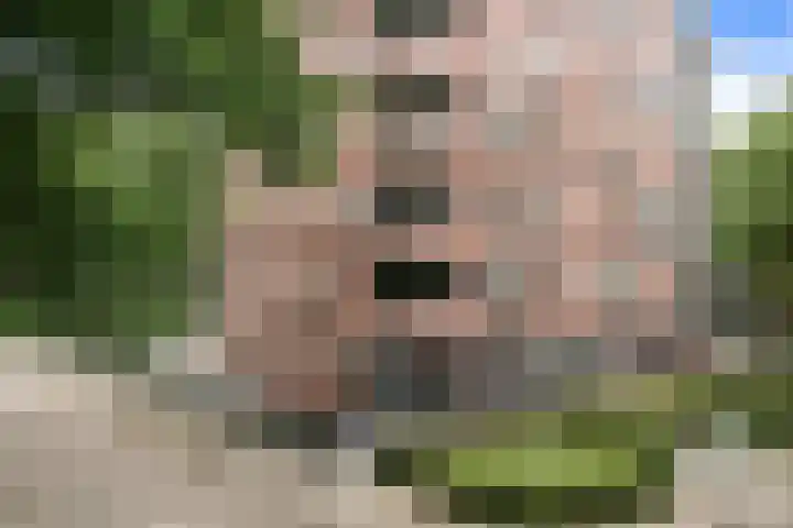 Dolderstraat 5 Wageningen thumbnail 25