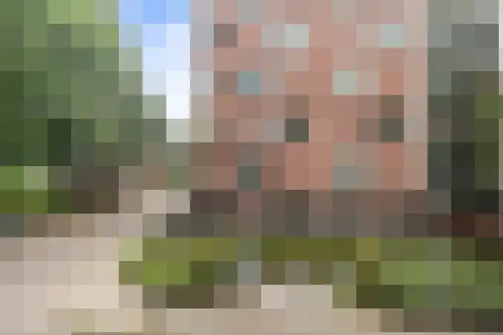 Dolderstraat 5 Wageningen thumbnail 27