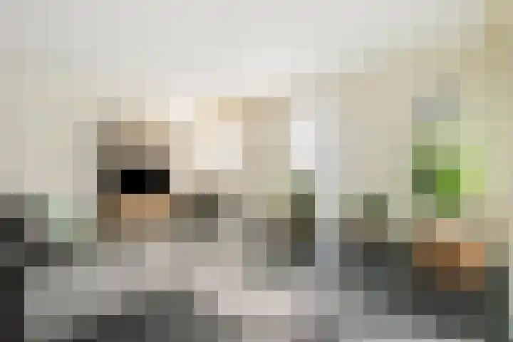 Dolderstraat 5 Wageningen thumbnail 7