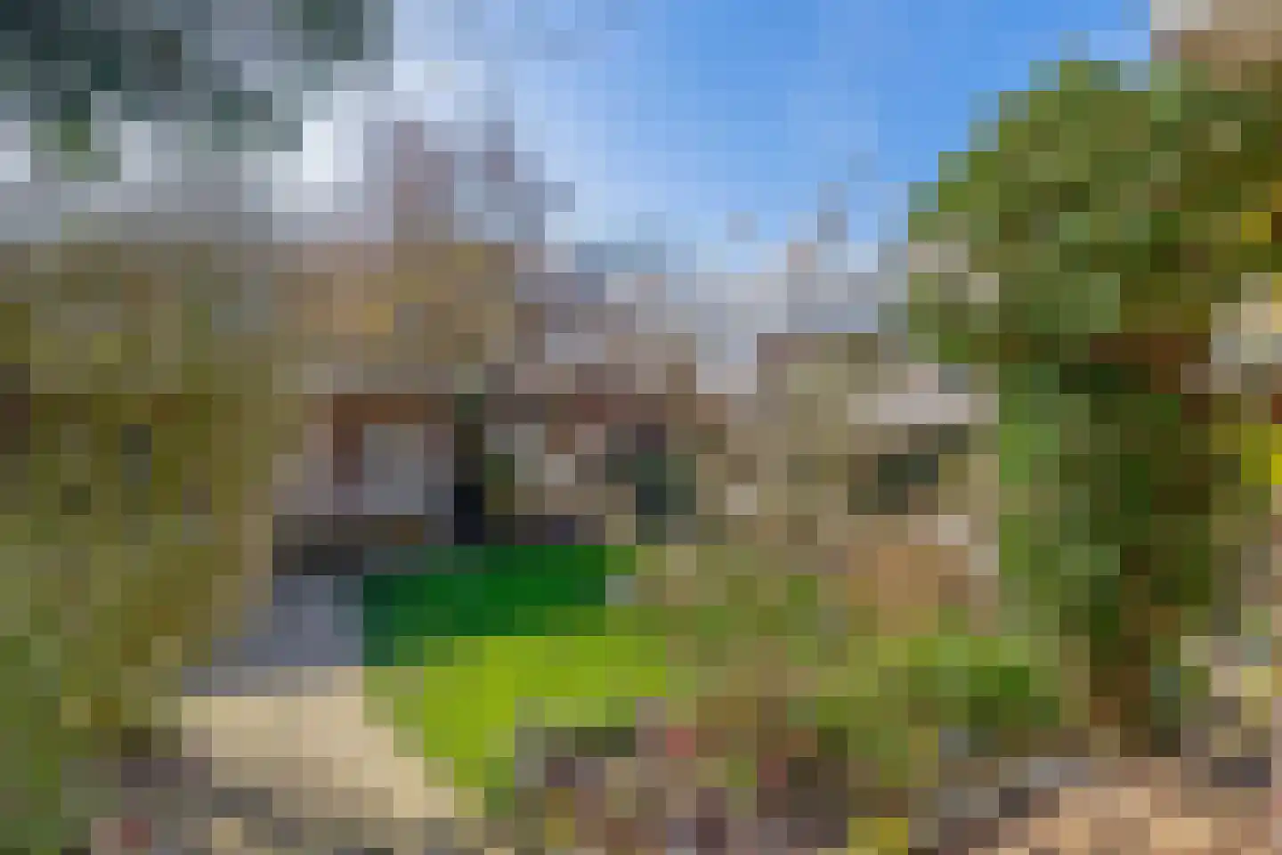 Dolderstraat 70 Wageningen thumbnail 34