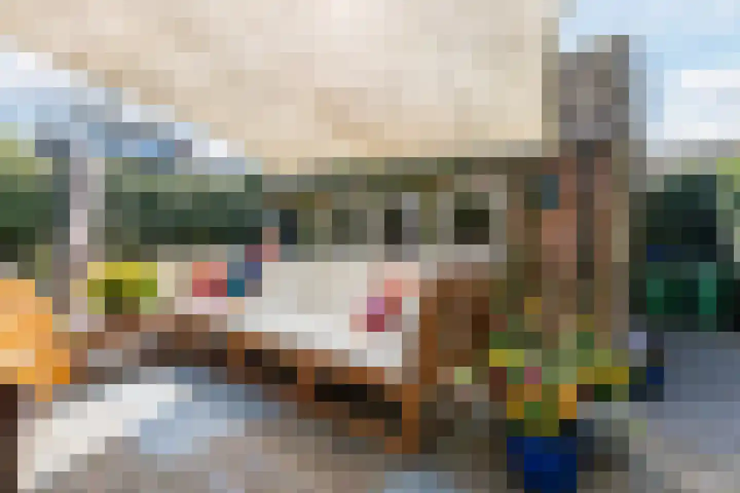 Dolderstraat 78 Wageningen thumbnail 45