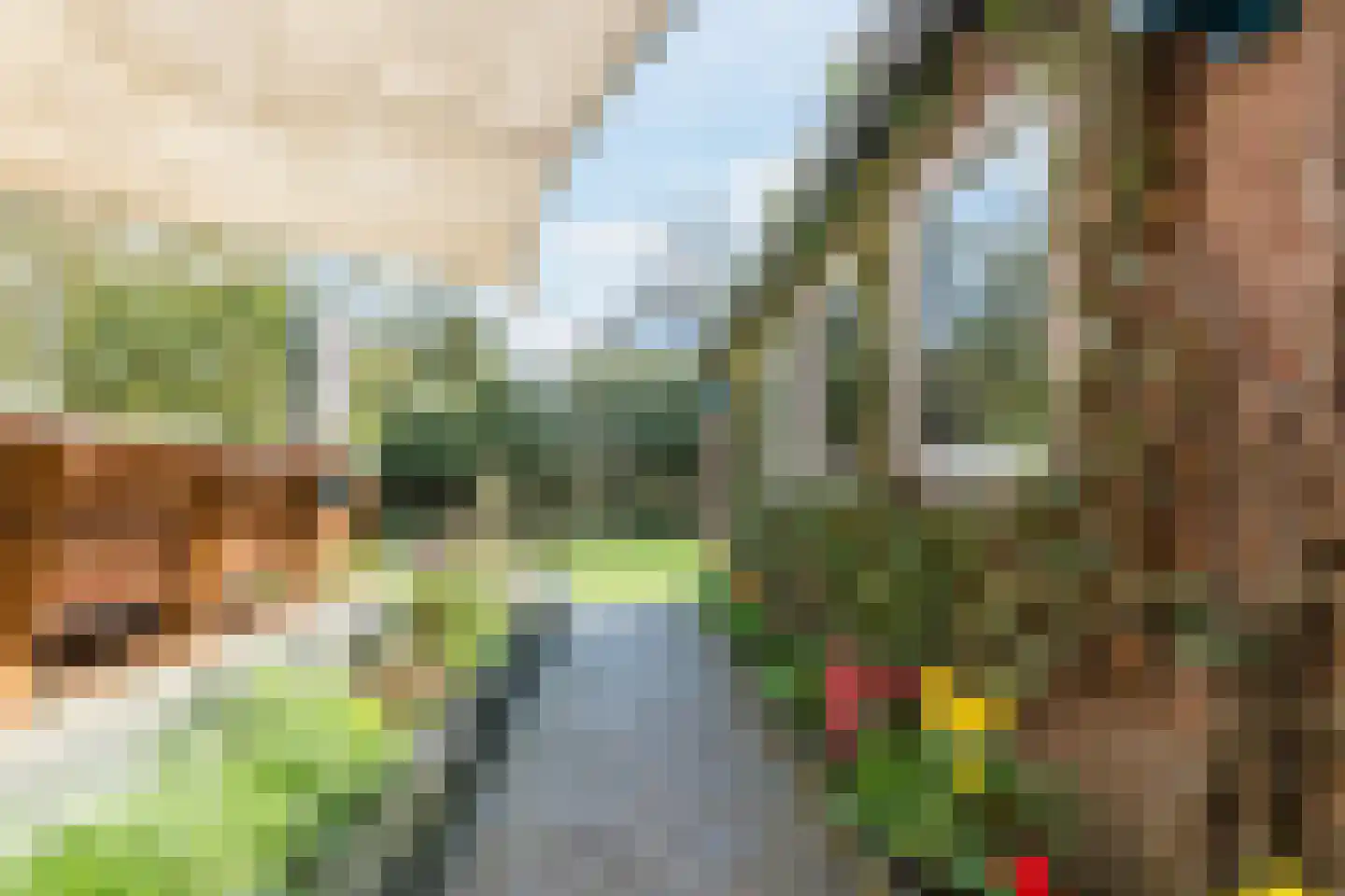 Dolderstraat 78 Wageningen thumbnail 46