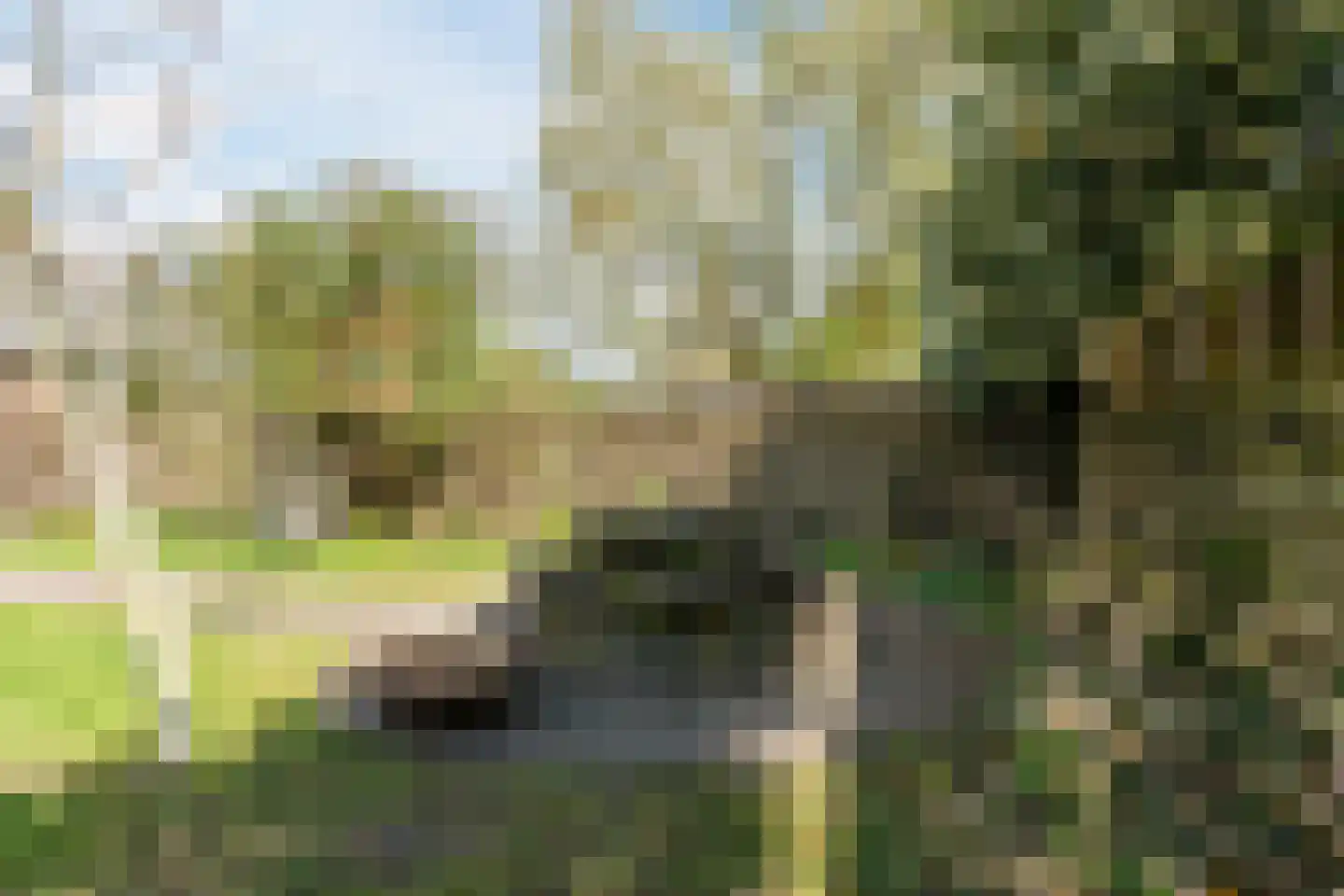 Dolderstraat 78 Wageningen thumbnail 50
