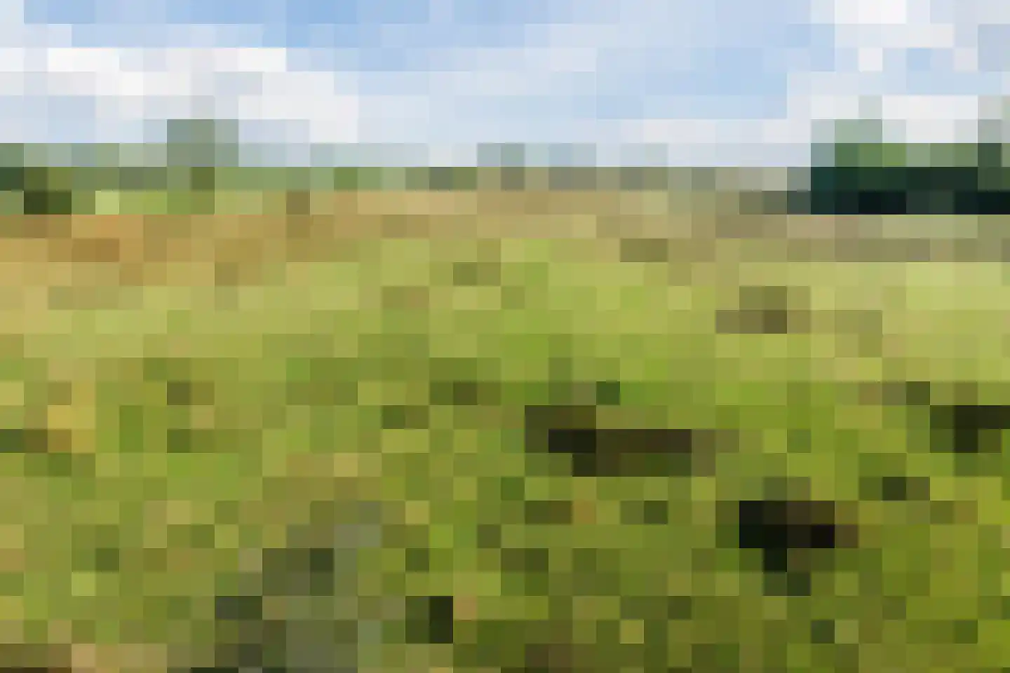 Doldersummerweg 5 Wapse thumbnail 100