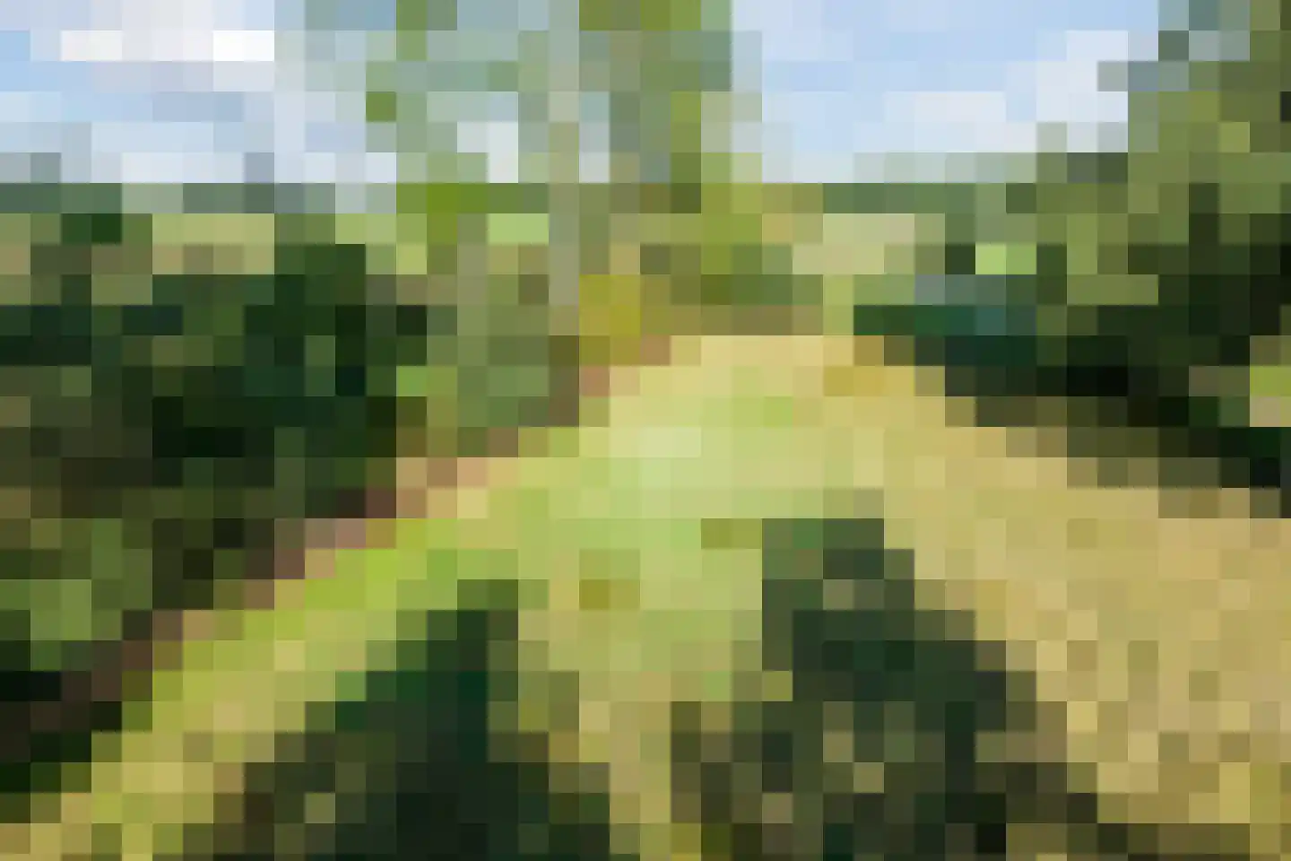 Doldersummerweg 5 Wapse thumbnail 103