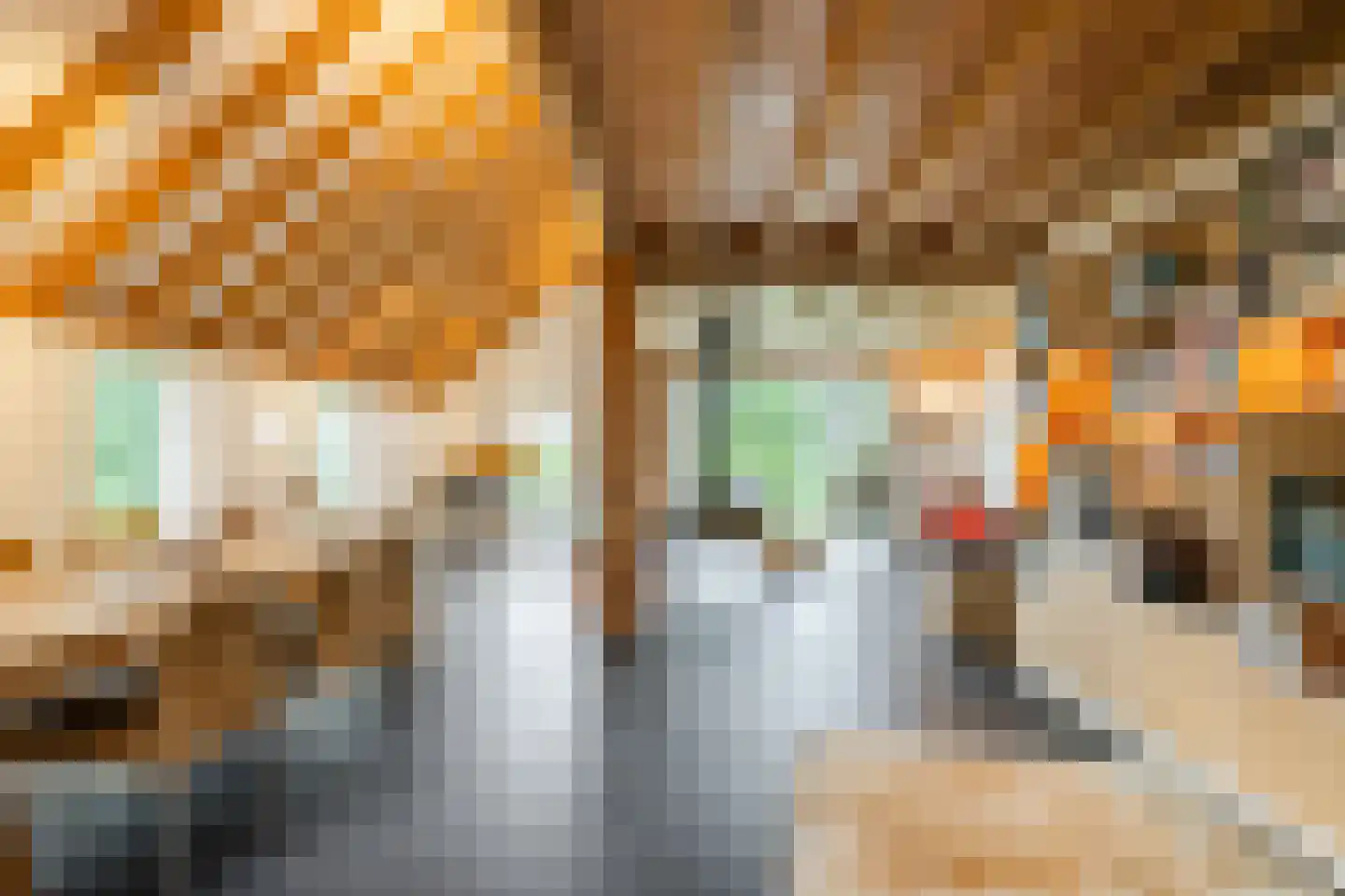 Doldersummerweg 5 Wapse thumbnail 21