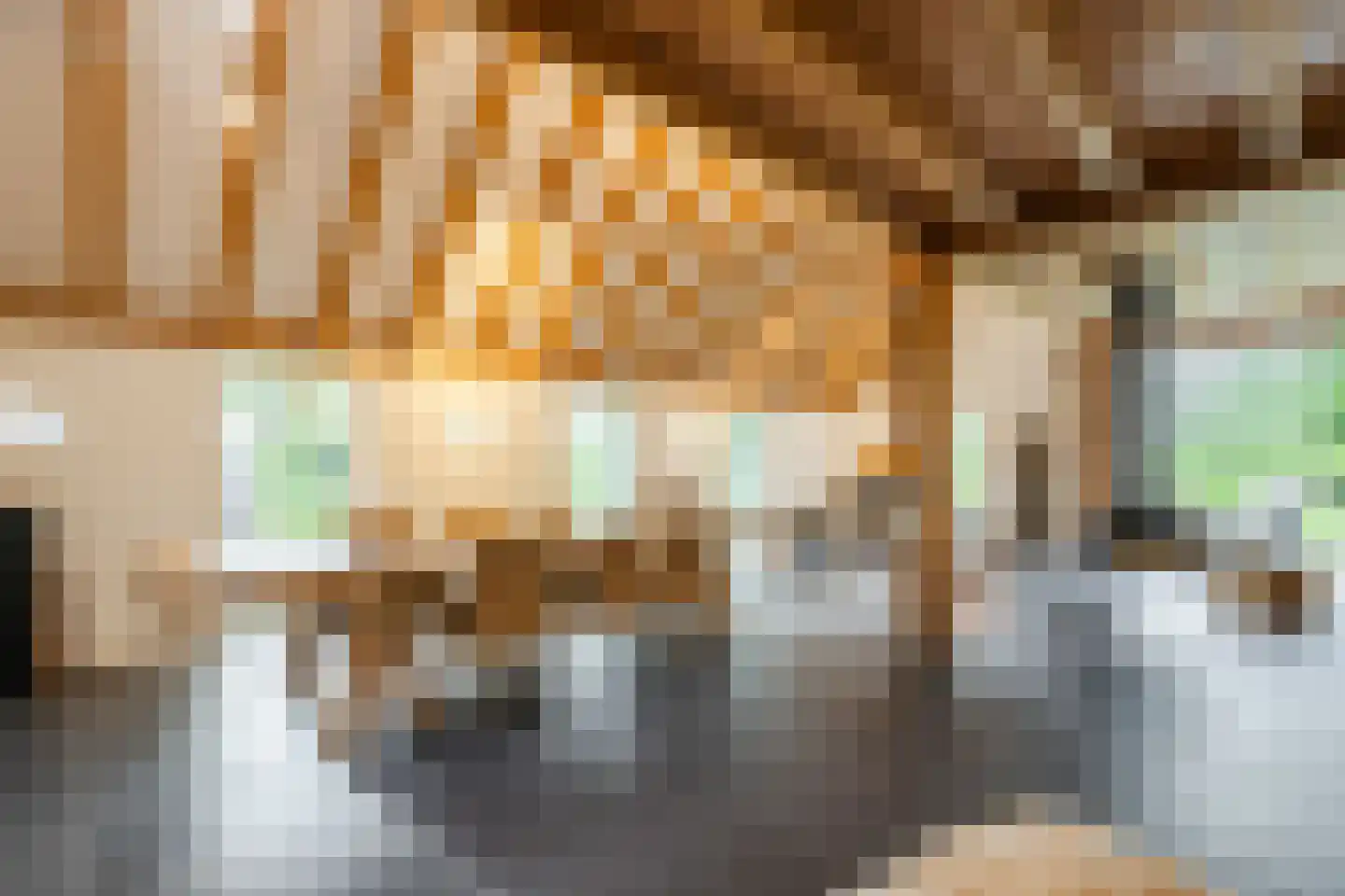 Doldersummerweg 5 Wapse thumbnail 22