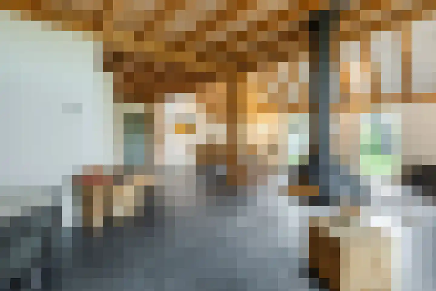 Doldersummerweg 5 Wapse thumbnail 23