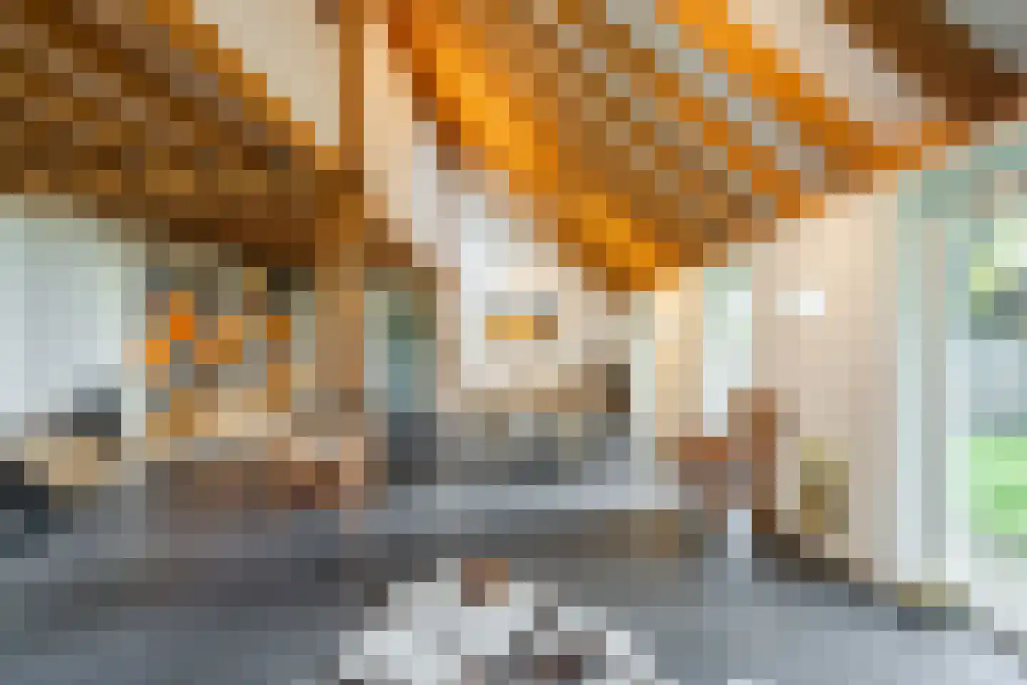 Doldersummerweg 5 Wapse thumbnail 27