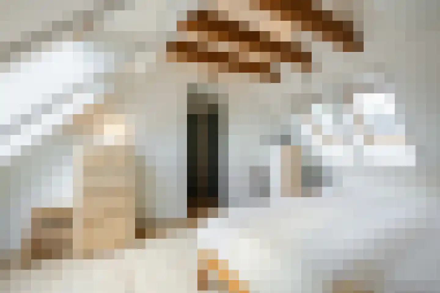 Doldersummerweg 5 Wapse thumbnail 39