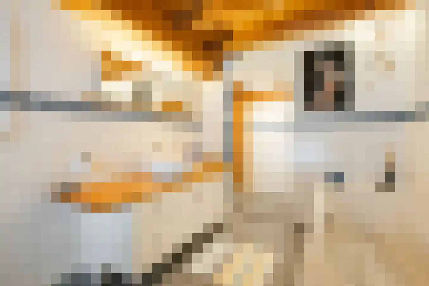 Doldersummerweg 5 Wapse thumbnail 41