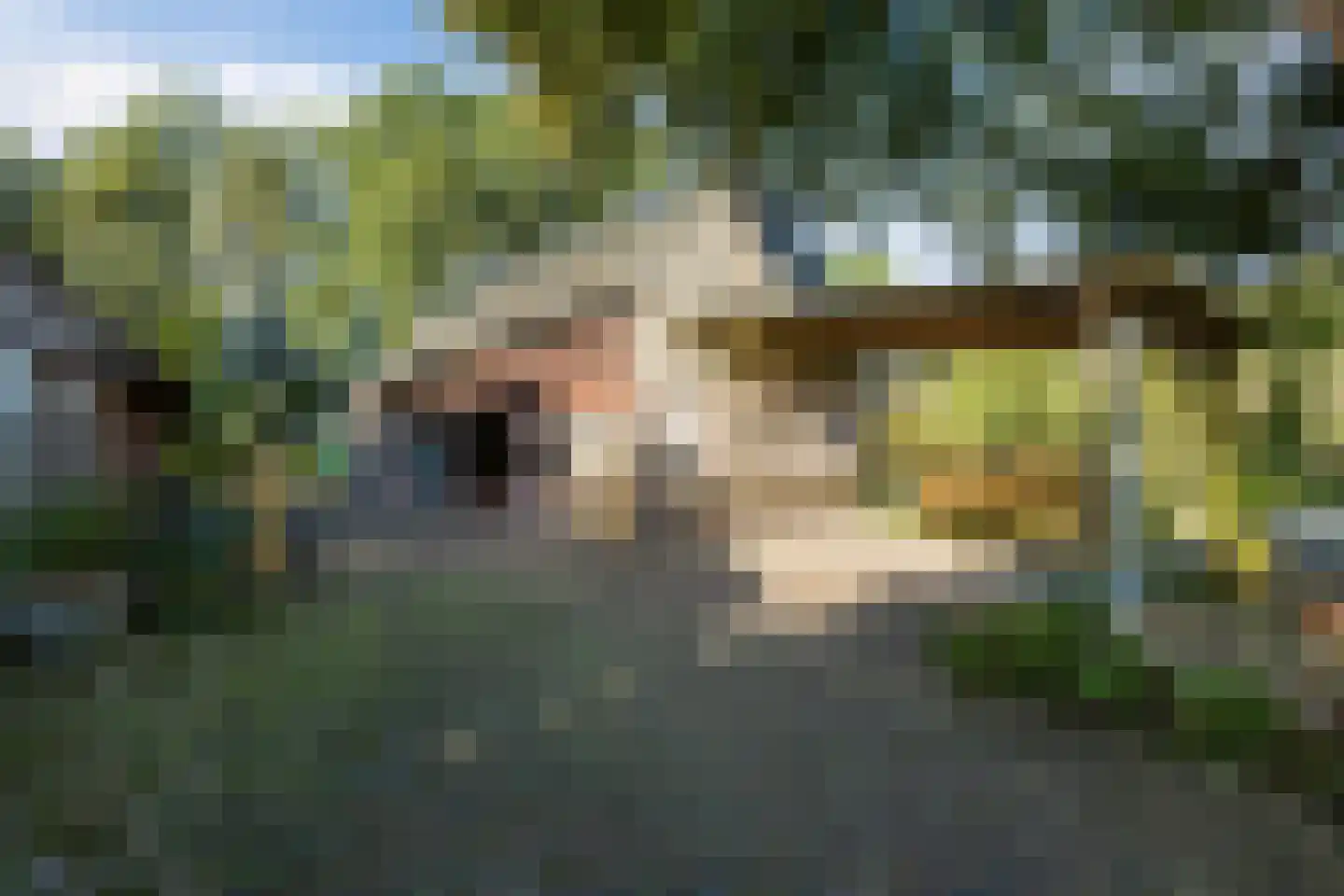 Doldersummerweg 5 Wapse thumbnail 55