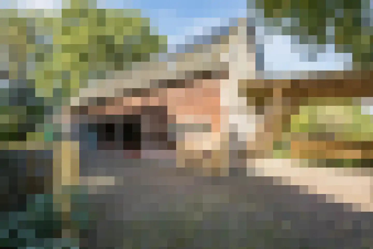 Doldersummerweg 5 Wapse thumbnail 56