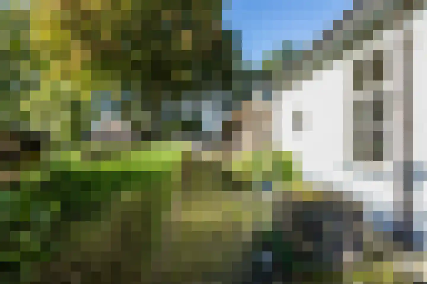 Doldersummerweg 5 Wapse thumbnail 80