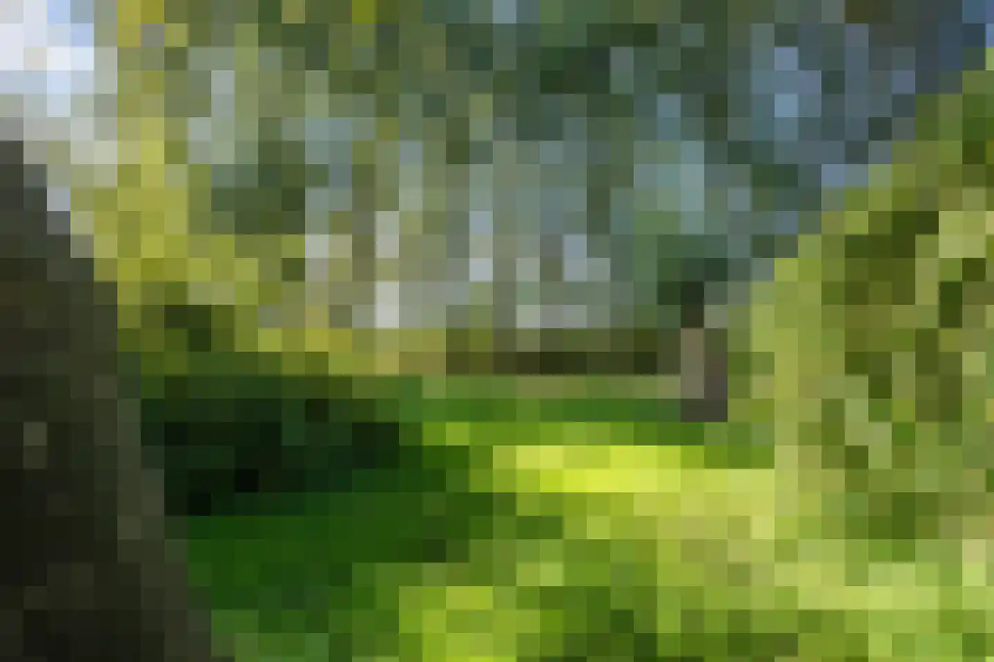 Doldersummerweg 5 Wapse thumbnail 82