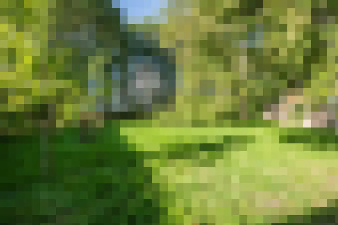 Doldersummerweg 5 Wapse thumbnail 83