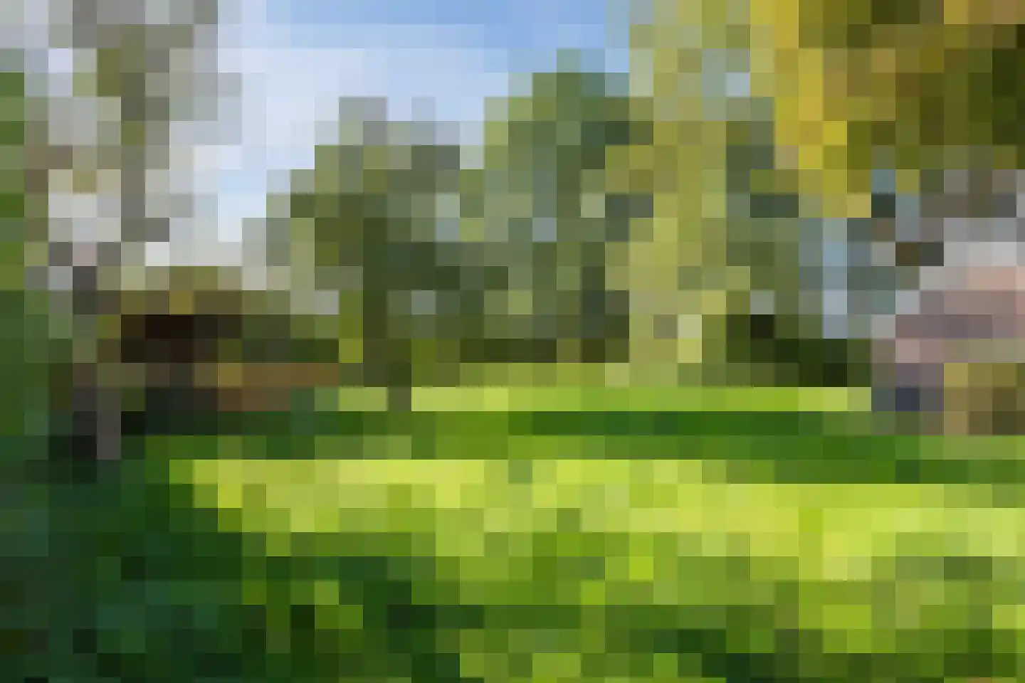 Doldersummerweg 5 Wapse thumbnail 84