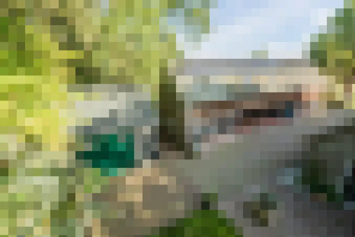 Doldersummerweg 5 Wapse thumbnail 89